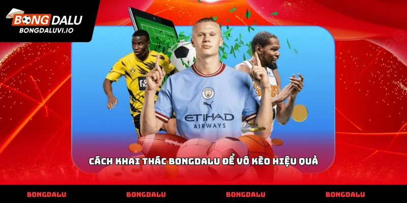Cách khai thác Bongdalu để vô kèo hiệu quả
